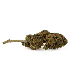 Critical - Fleur CBD 17,2 %
