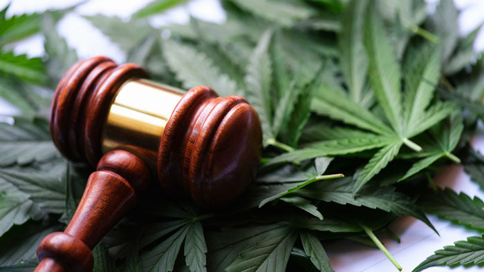 CBD LEGAL