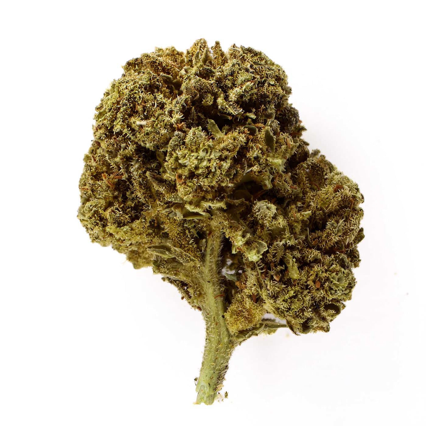 Freeze Kush - Fleur CBD 15 %