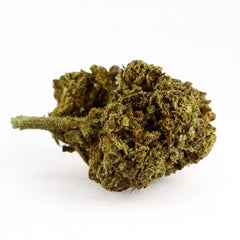 Freeze Kush - 15% CBD Blüte