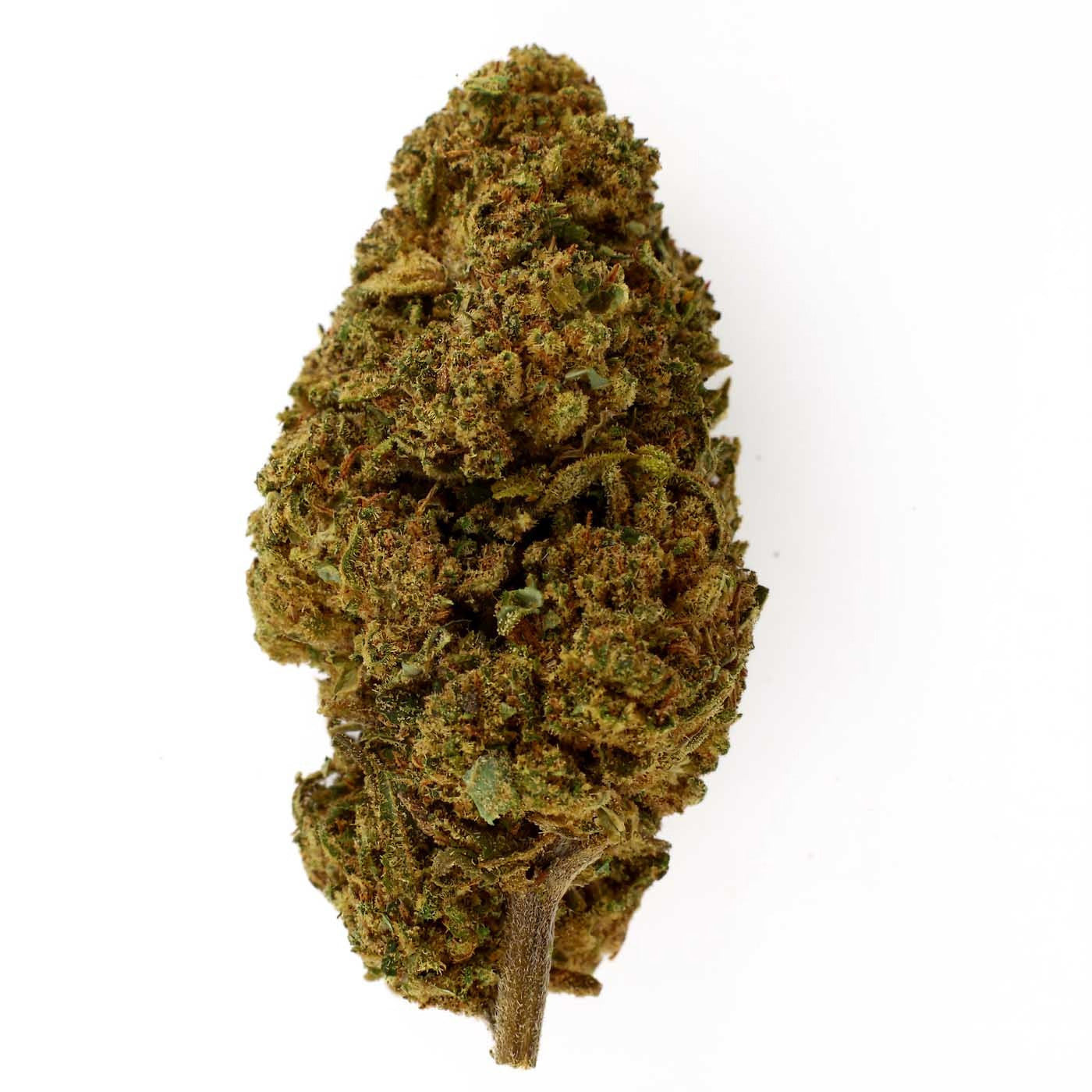 Gelato - Fleur CBD 17,2 %