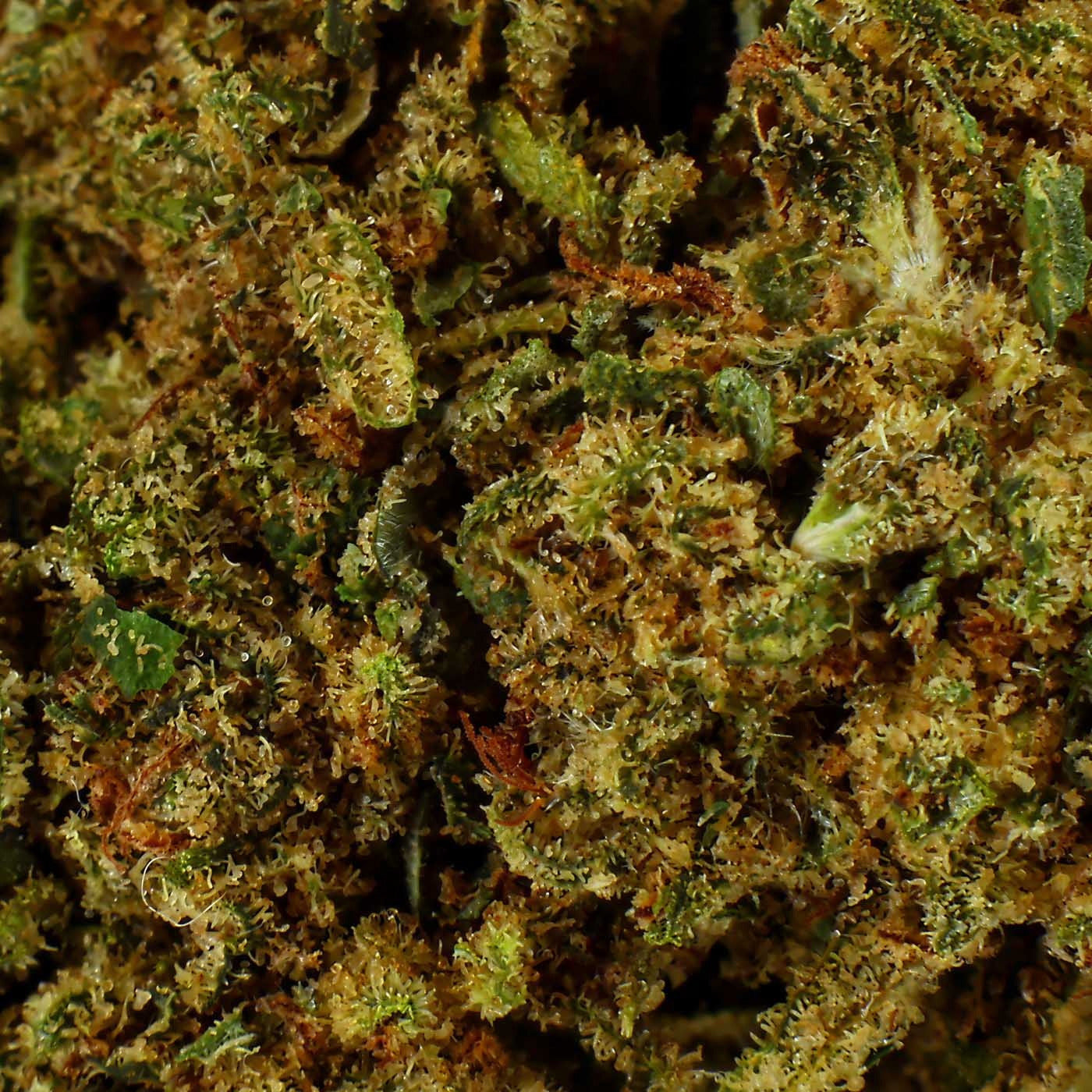 Gelato - Fleur CBD 17,2 %