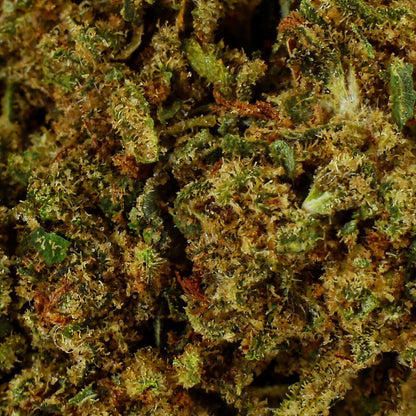 Gelato - Fleur CBD 17,2 %