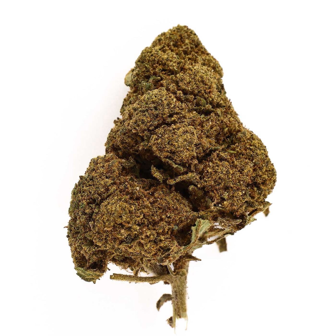 Jack Herer – CBD-Blüte 17,3%