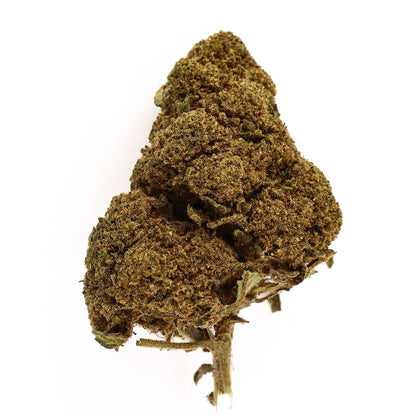 Jack Herer – CBD-Blüte 17,3%
