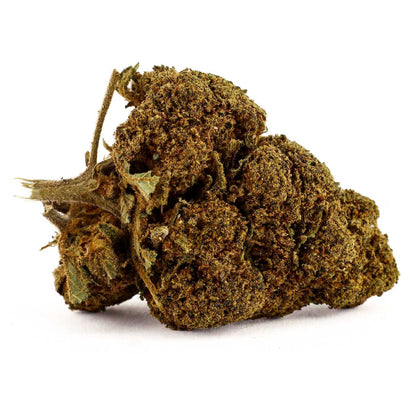 Jack Herer – CBD-Blüte 17,3%