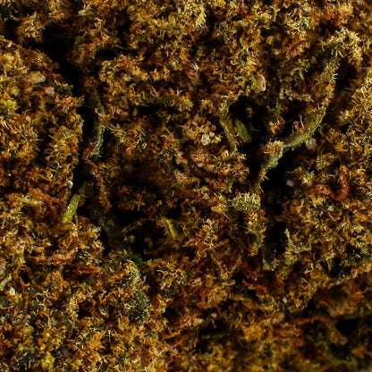 Jack Herer – CBD-Blüte 17,3%
