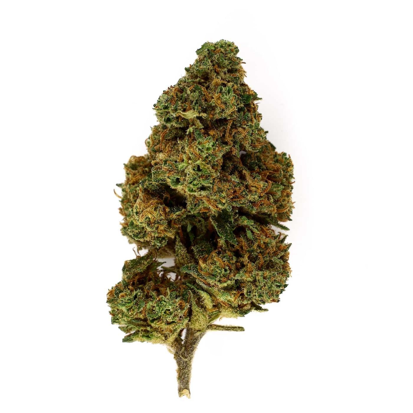 Mango Kush - CBD Flower 17.4%