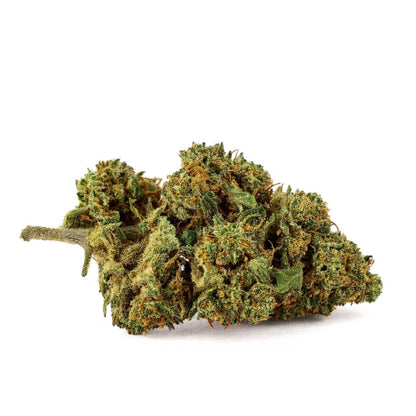 Mango Kush - CBD Flower 17.4%