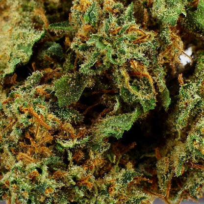 Mango Kush - CBD Flower 17.4%