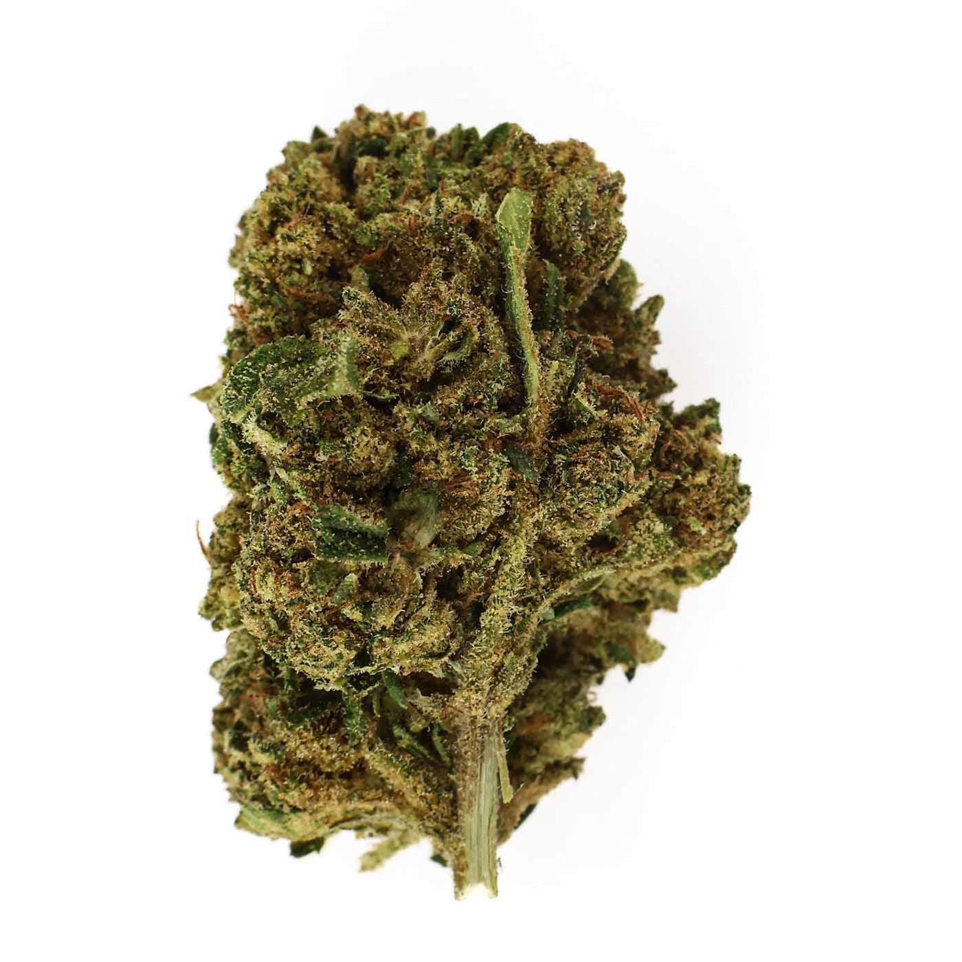 OG Kush - Fleur CBD 15,4 %