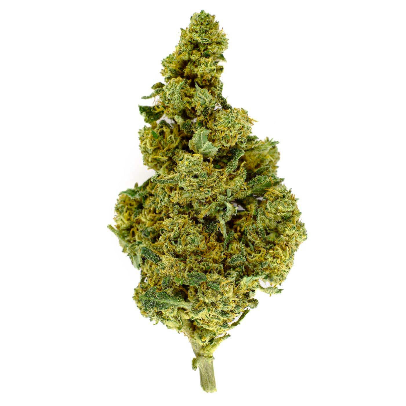 Orange Bud - 25% CBD-Blüte