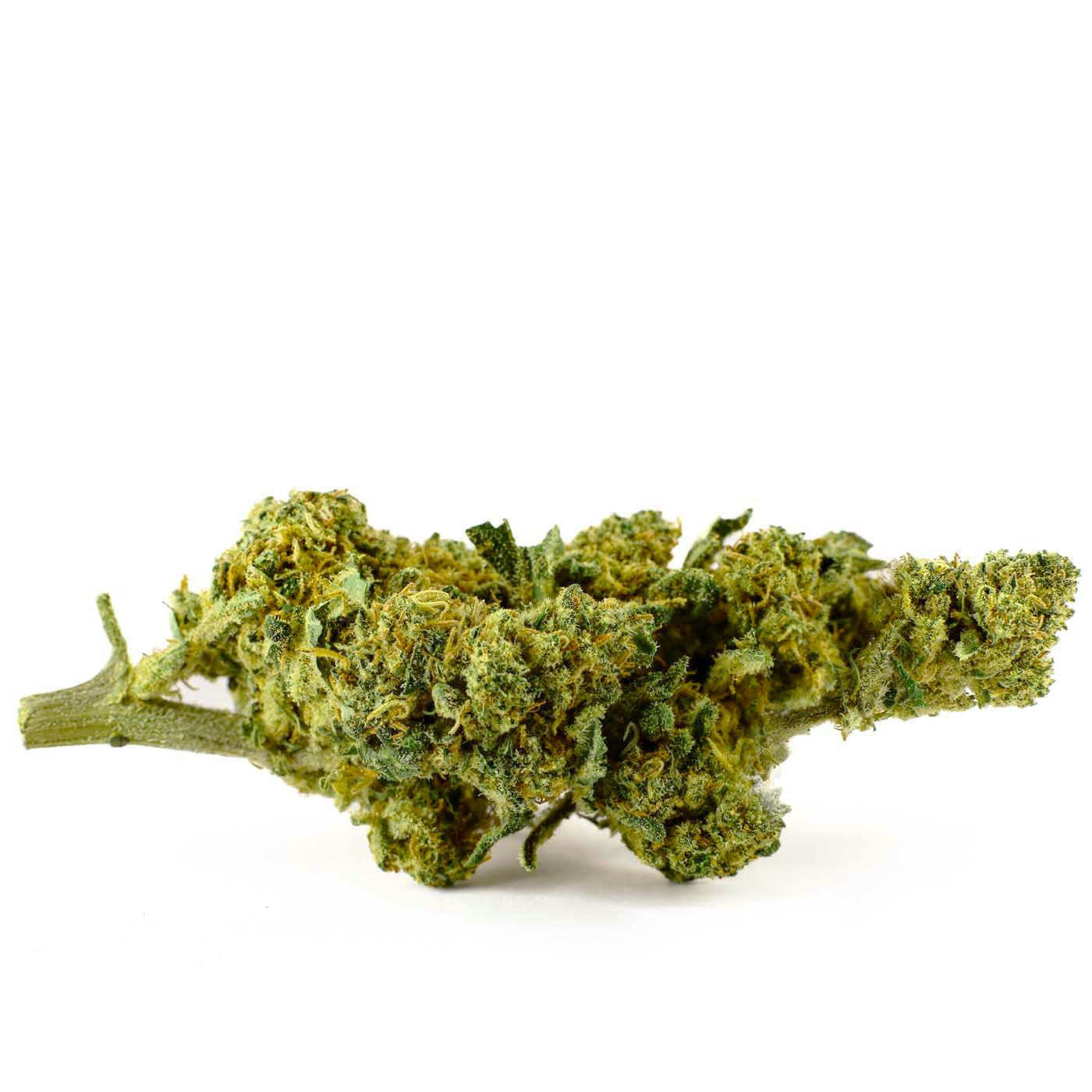 Orange Bud - 25% CBD-Blüte