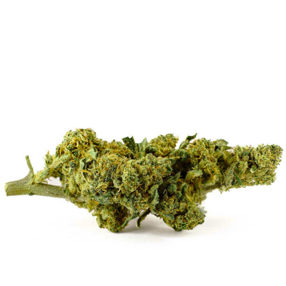 Orange Bud - 25% CBD-Blüte