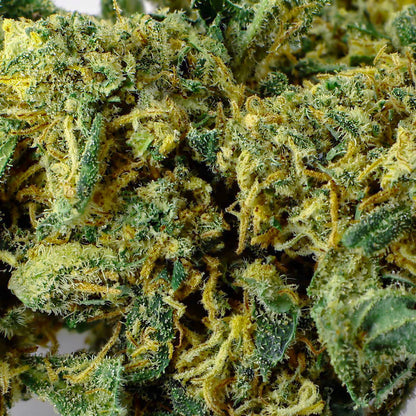 Orange Bud - 25% CBD-Blüte