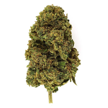 Orange Turbo - Fleur CBD 11,5 %