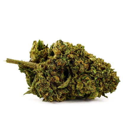 Orange Turbo - Fleur CBD 11,5 %