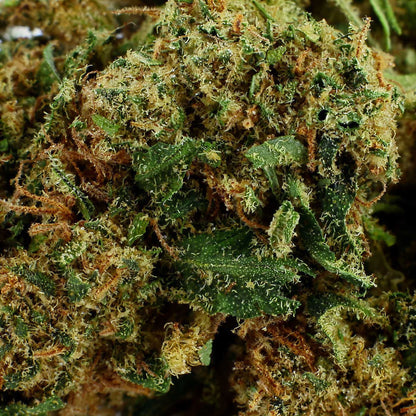 Apple Punch - Fleur CBD 13,5 %