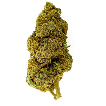 Ringo Gift - Fleur CBD 24,7 %
