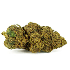 Ringo Gift - Fleur CBD 24,7 %