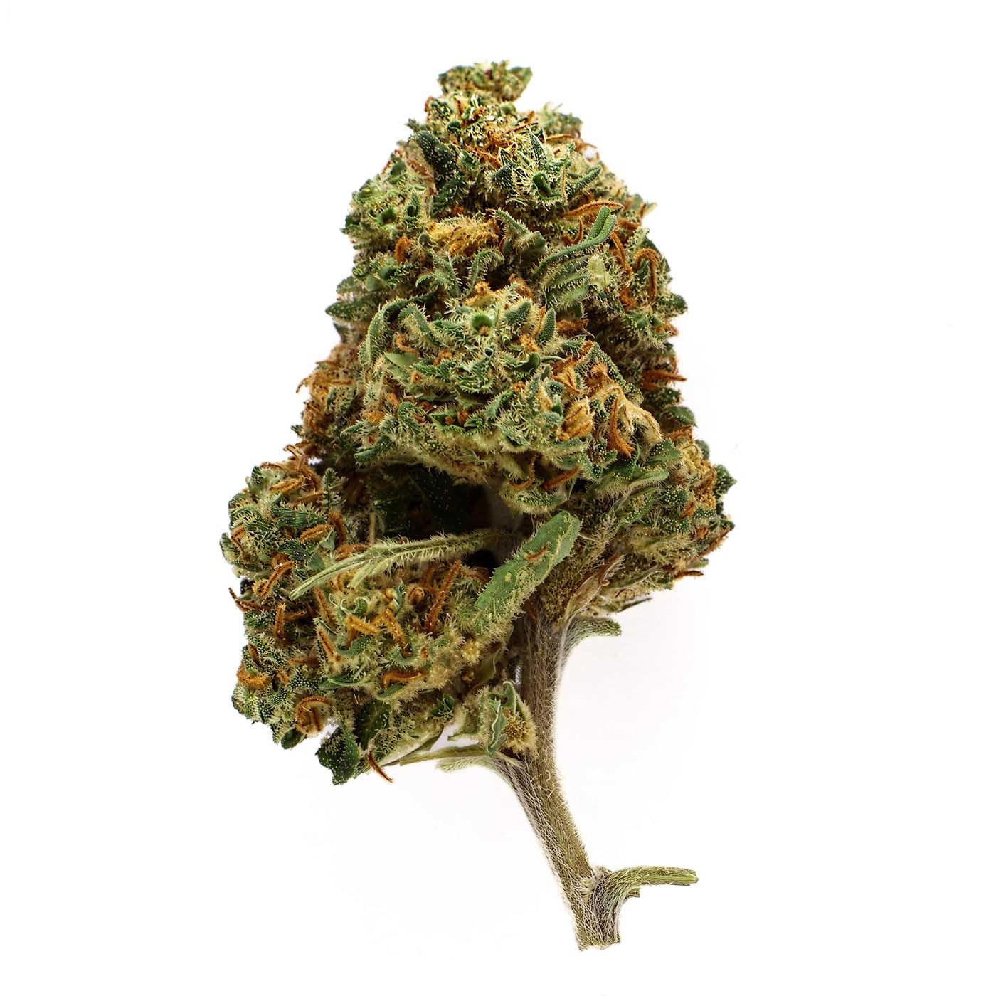 Royal Cookies - Fleur CBD 16,9 %