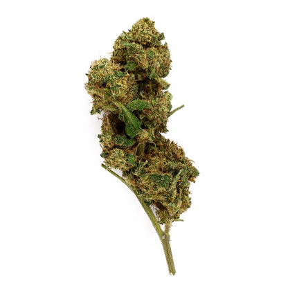 Black Diesel - Fleur CBD 15,4 %