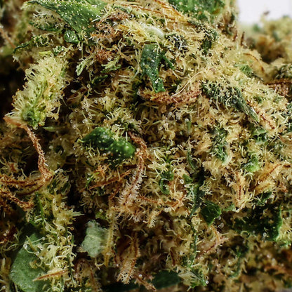 Black Diesel - Fleur CBD 15,4 %