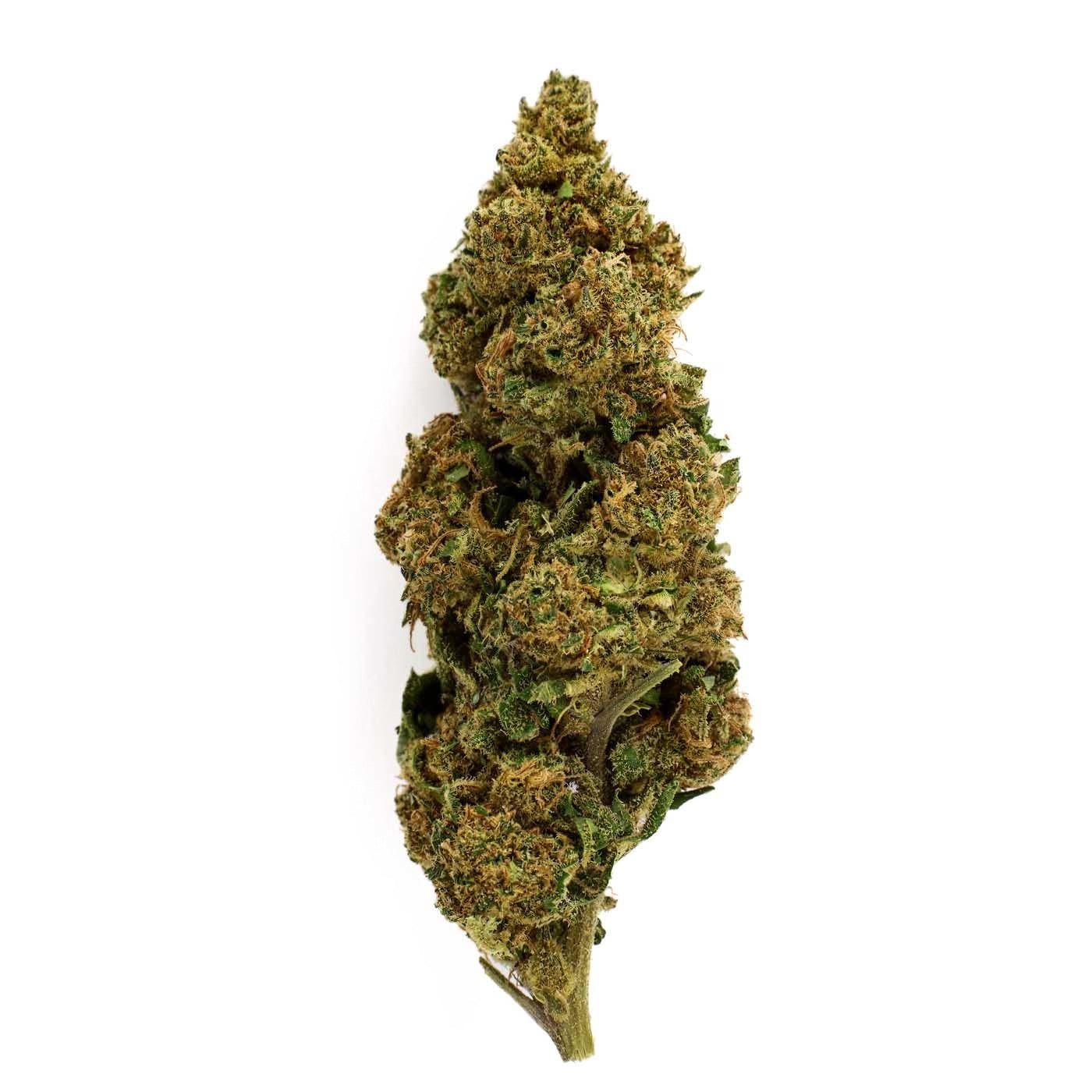 Tangie – CBD-Blüte 13,1%