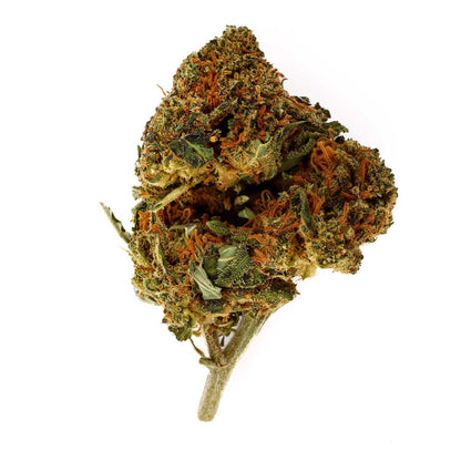 White Widow - Fleur CBD 14,4 %