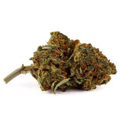 White Widow - Fleur CBD 14,4 %