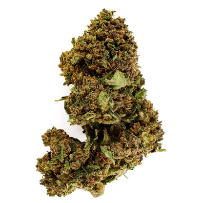 Alpine White - CBD Blüte 9,5%