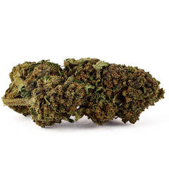 Alpine White - CBD Blüte 9,5%