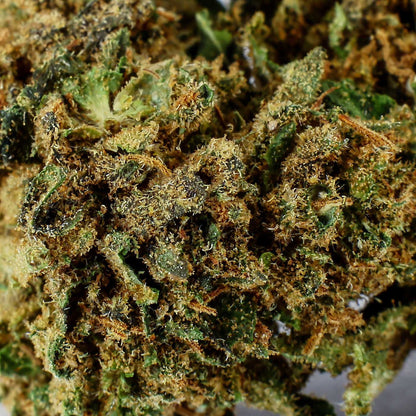 Alpine White - CBD Blüte 9,5%