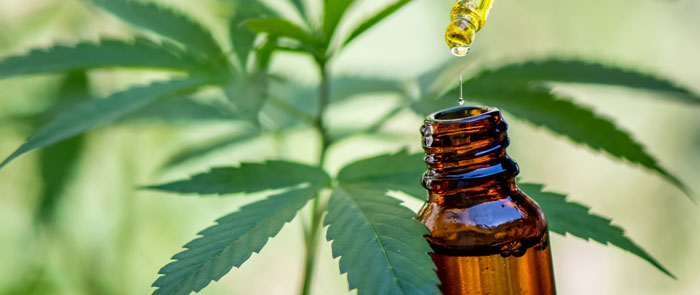 cbd cannabidiol