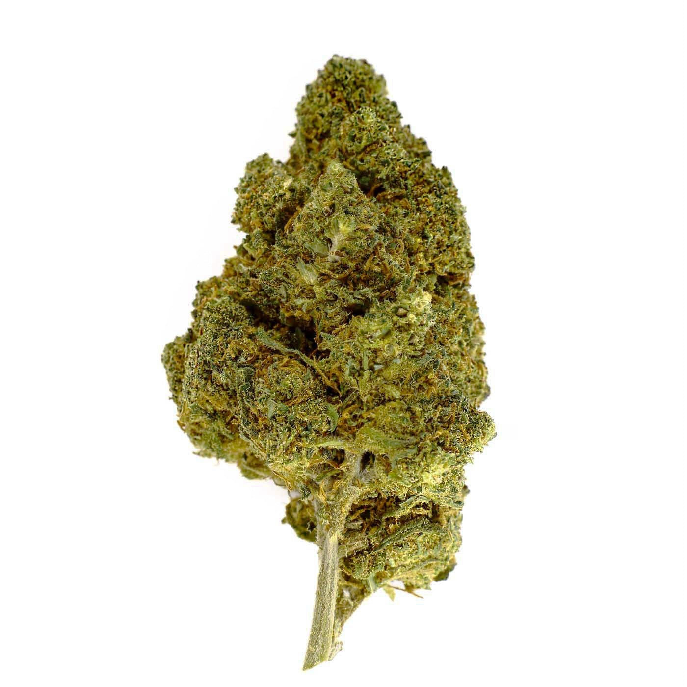 Berry White - 12% CBD Blüte