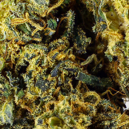 El Patron Indoor - CBD Flower 22%