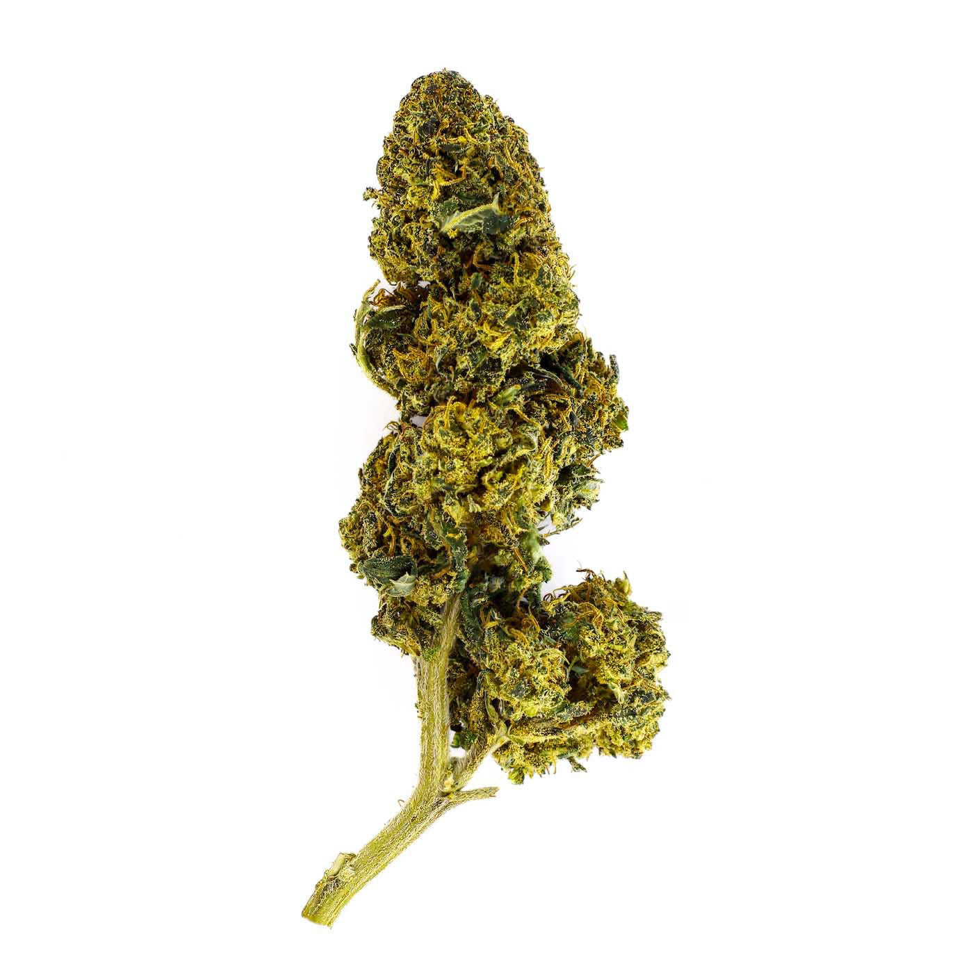 El Patron Indoor - CBD Flower 22%