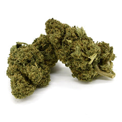 El Patron Indoor - Fleur CBD 22%