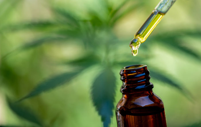CBD-Dosierung