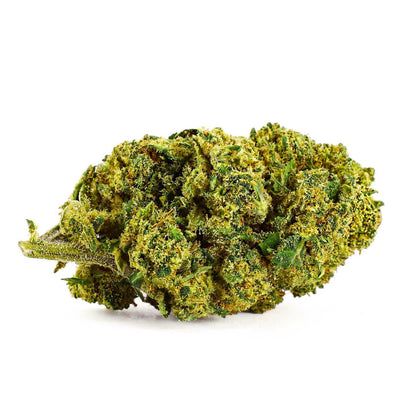 Budda Zen - Fleur CBD 19.5%
