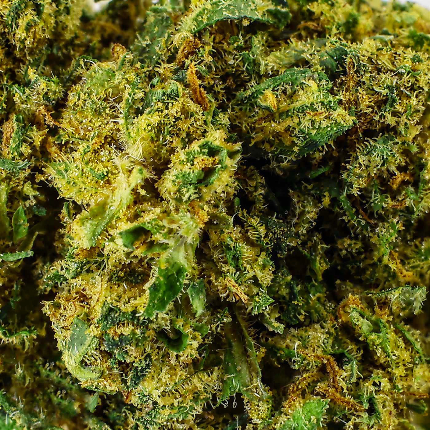 Budda Zen - Fleur CBD 19.5%