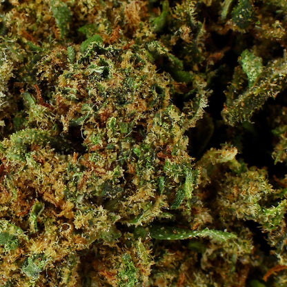 Candy Kush - 21% CBD Flower