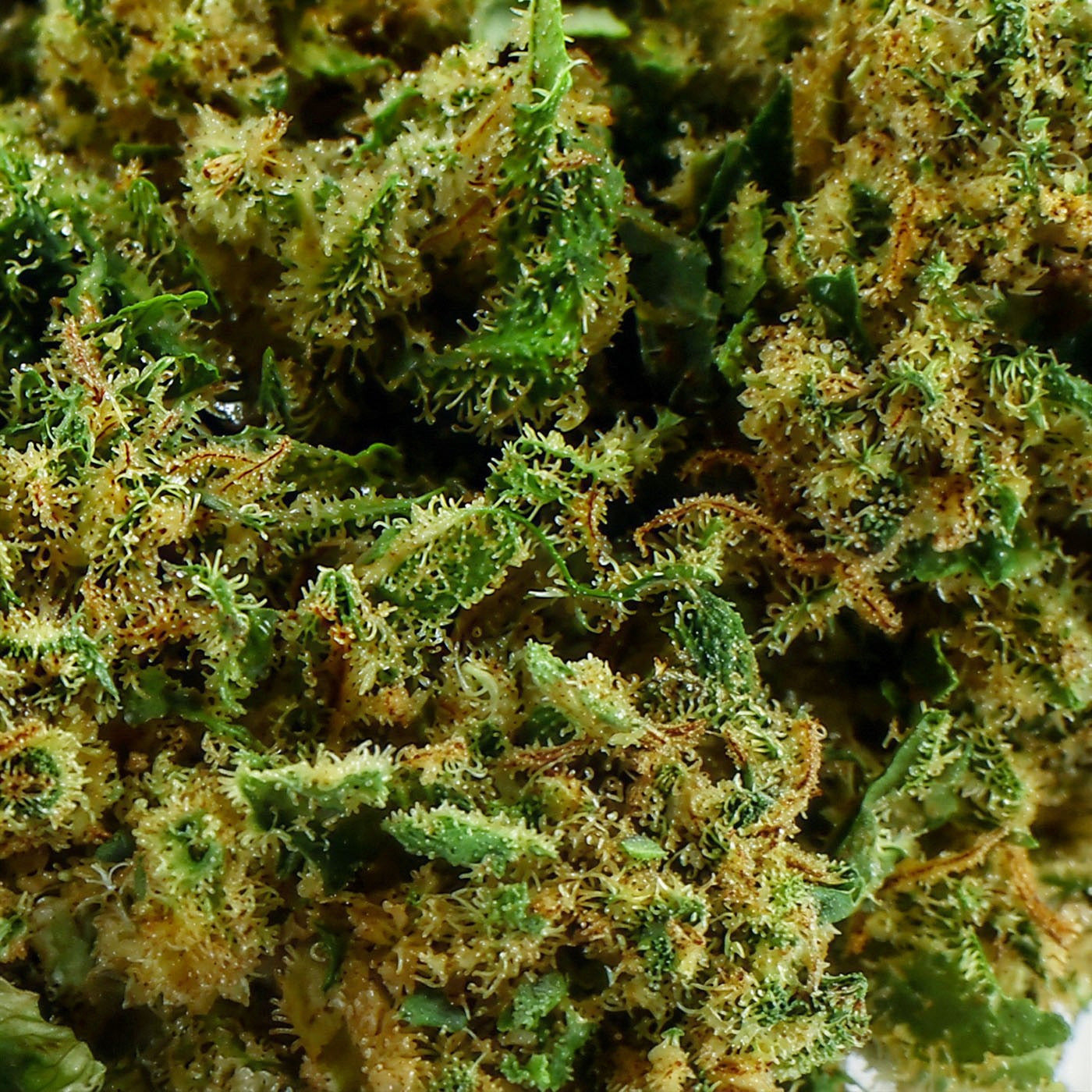 Cannabomb - CBD Flower 23%