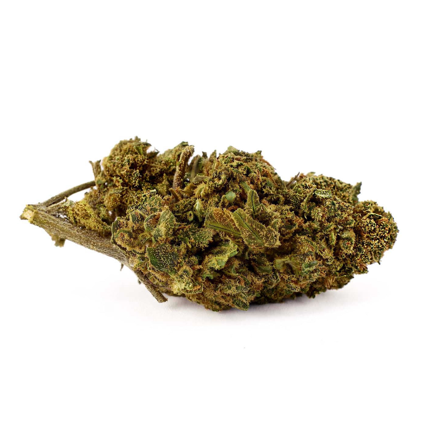 Gorilla Queen - Fleur CBD 21.7%