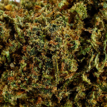 Gorilla Queen - Fleur CBD 21.7%