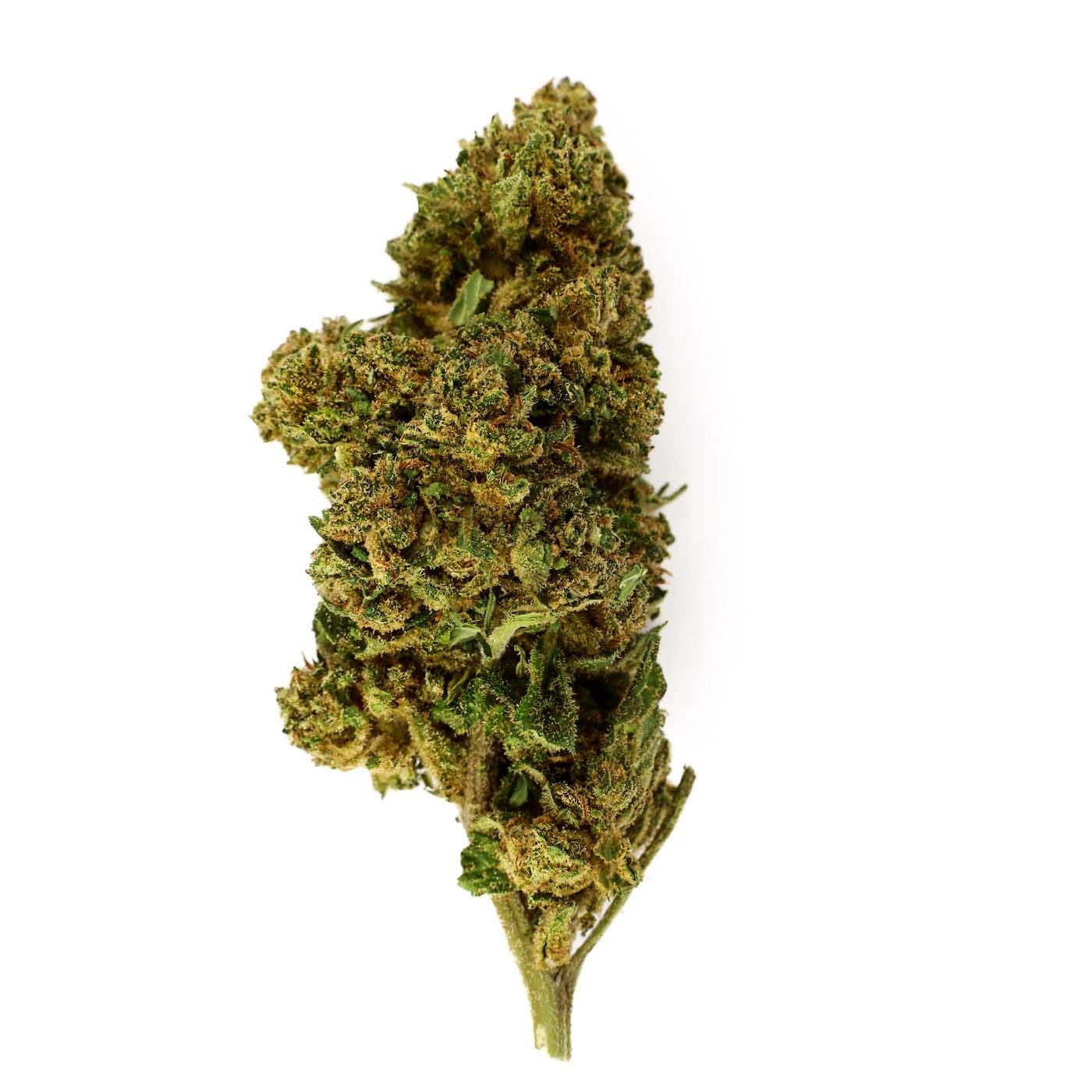 Harlequin - CBD Flower 15.9%