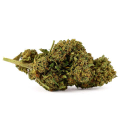 Harlequin – CBD-Blüte 15,9%