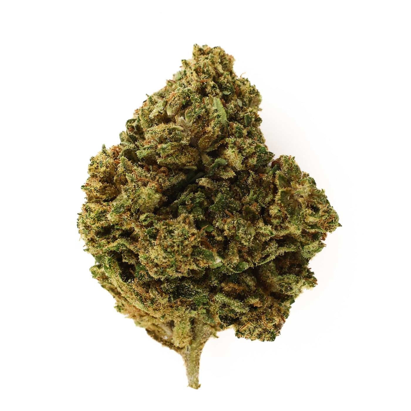 Mango Haze - CBD Flower 16.9%