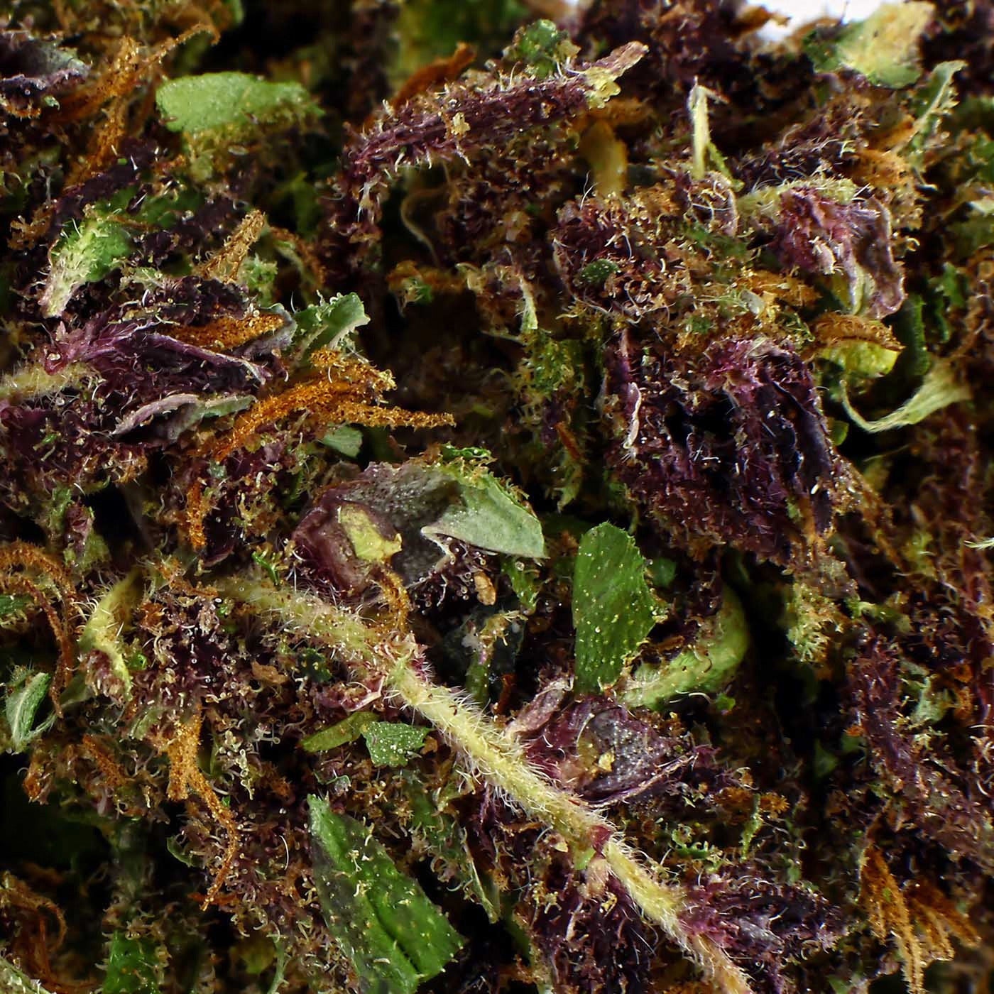 Purple Haze - CBD-Blüte 20,7%