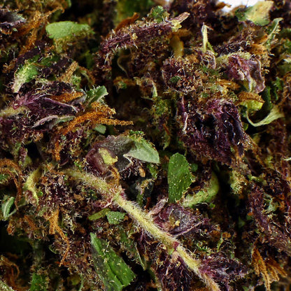 Purple Haze - CBD-Blüte 20,7%